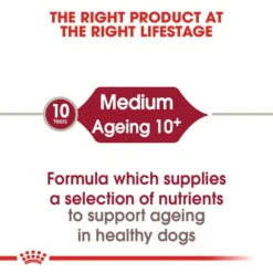 ROYAL CANIN MEDIUM Ageing 10+ 15kg + MEDIUM Ageing 10x140g -Haustierprodukte rc medium ageing 10plus trocken 2