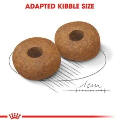 ROYAL CANIN MEDIUM Ageing 10+ 15kg + MEDIUM Ageing 10x140g -Haustierprodukte rc medium ageing 10plus trocken 4