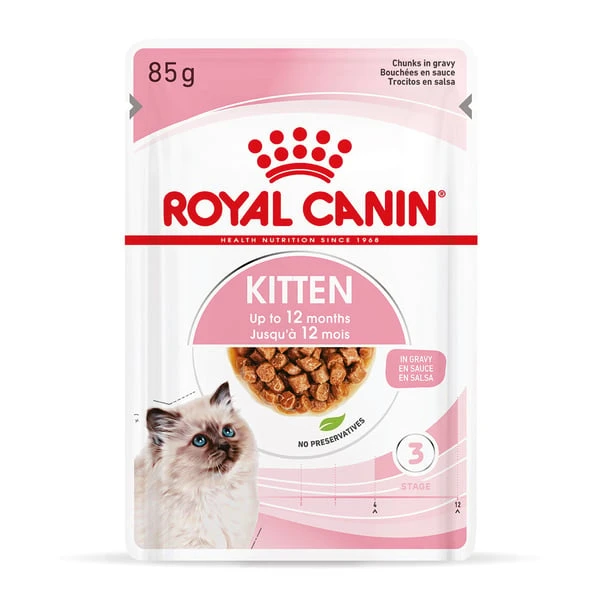 ROYAL CANIN KITTEN Nassfutter In Soße Für Kätzchen 14 ROYAL CANIN KITTEN Nassfutter In Soße Für Kätzchen – Bild 12