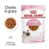 ROYAL CANIN KITTEN Nassfutter In Soße Für Kätzchen -Haustierprodukte royal canin kitten nassfutter in sosse fur katzchen 1SKvrFopch8Mra