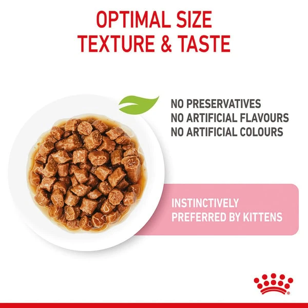 ROYAL CANIN KITTEN Nassfutter In Soße Für Kätzchen 6 ROYAL CANIN KITTEN Nassfutter In Soße Für Kätzchen – Bild 4