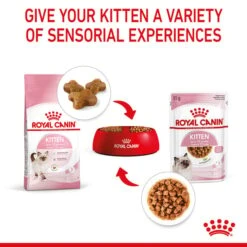 ROYAL CANIN KITTEN Nassfutter In Soße Für Kätzchen 20 ROYAL CANIN KITTEN Nassfutter In Soße Für Kätzchen -Haustierprodukte royal canin kitten nassfutter in sosse fur katzchen 6xtnPihEtAlZO0