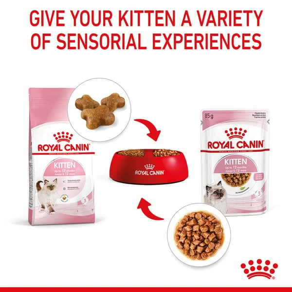 ROYAL CANIN KITTEN Nassfutter In Soße Für Kätzchen 8 ROYAL CANIN KITTEN Nassfutter In Soße Für Kätzchen – Bild 6