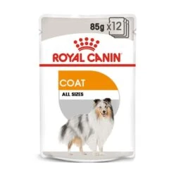 ROYAL CANIN COAT CARE Nassfutter Für Glänzendes Fell 12x85g -Haustierprodukte royal canin coat care all sizes web
