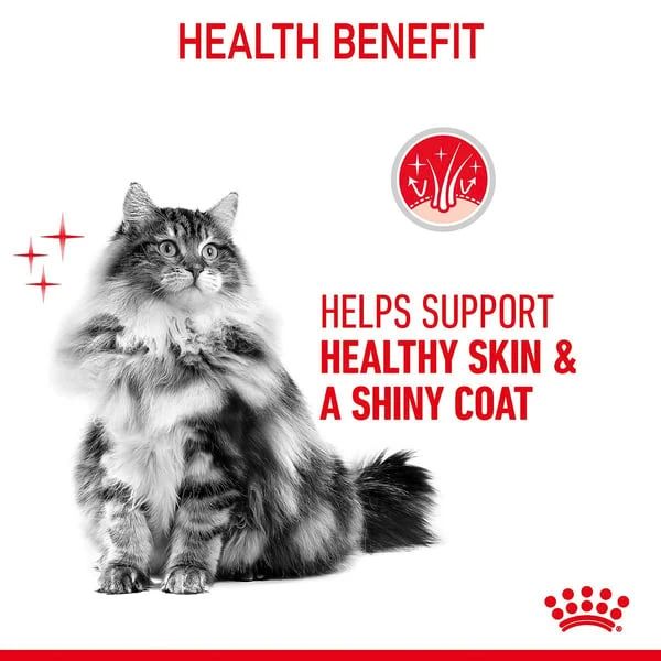 Royal Canin FCN Hair & Skin Gravy 6 Royal Canin FCN Hair & Skin Gravy – Bild 4