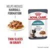 Royal Canin FCN Hairball Care Gravy -Haustierprodukte royal canin hairball care gravy web 1