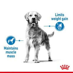 ROYAL CANIN LIGHT WEIGHT CARE MAXI Trockenfutter Für Zu Übergewicht Neigenden Hunden -Haustierprodukte royalcanin lightweightcare maxi 3