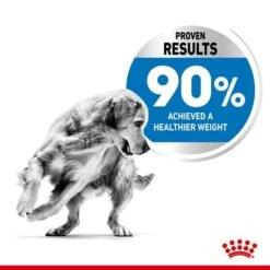 ROYAL CANIN LIGHT WEIGHT CARE MAXI Trockenfutter Für Zu Übergewicht Neigenden Hunden -Haustierprodukte royalcanin lightweightcare maxi 4