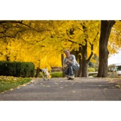 Ruffwear Geschirr Flagline Lichen Green -Haustierprodukte ruffwear geschirr flagline lichen green web 12