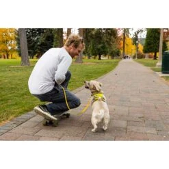 Ruffwear Geschirr Flagline Lichen Green -Haustierprodukte ruffwear geschirr flagline lichen green web 9