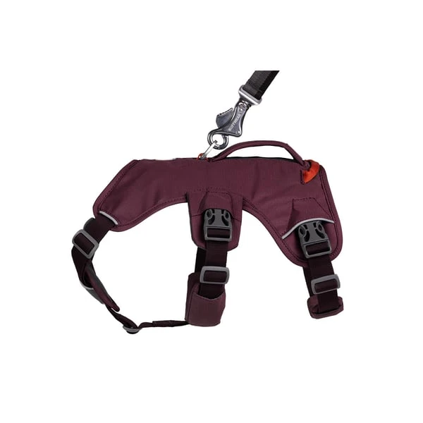 Ruffwear Geschirr Web Master Purple Rain 7 Ruffwear Geschirr Web Master Purple Rain – Bild 5