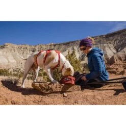 Ruffwear Geschirr Web Master Red Sumac -Haustierprodukte ruffwear geschirr web master red sumac web 11