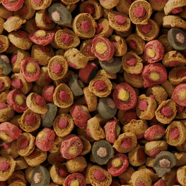 Sera Koi All Seasons Probiotic 4 Sera Koi All Seasons Probiotic – Bild 2