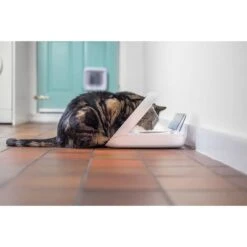 SureFeed Mikrochip Futterautomat Connect 19 SureFeed Mikrochip Futterautomat Connect -Haustierprodukte surefeed mikrochip futterautomat connect 4