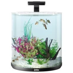 Tetra AquaArt Explorer Line Halfmoon Komplett-Set 60l -Haustierprodukte tetra aquaart explorer line halfmoon komplett set 60l anthrazit 3