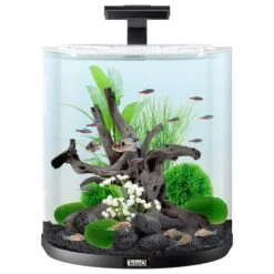 Tetra AquaArt Explorer Line Halfmoon Komplett-Set 60l -Haustierprodukte tetra aquaart explorer line halfmoon komplett set 60l weiss 2