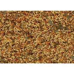 Tetra Pond Goldfish Mix 7 Tetra Pond Goldfish Mix -Haustierprodukte tetra pond goldfish mix 10l 2