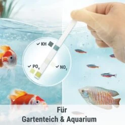 Tetra Wassertest AlgaeControl 3in1 12 Tetra Wassertest AlgaeControl 3in1 -Haustierprodukte tetra wassertest algaecontrol 3in1 5