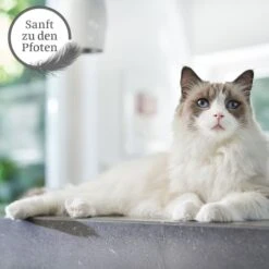 ZooRoyal Tigrooo Mit Babypuderduft -Haustierprodukte tigrooo babypuderduft neu 12kg 3