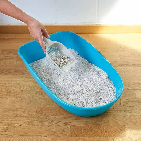 ZooRoyal Tigrooo Blue Magic 4 ZooRoyal Tigrooo Blue Magic – Bild 2