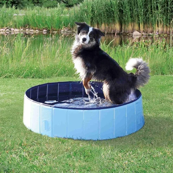 Trixie Hundepool Hellblau 4 Trixie Hundepool Hellblau – Bild 2