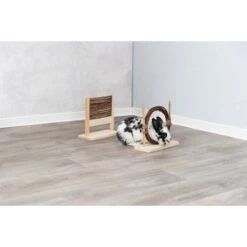 Trixie Kaninchen Agility-Set Mit Hürde Und Ring 11 Trixie Kaninchen Agility-Set Mit Hürde Und Ring -Haustierprodukte trixie kaninchen agility set 5