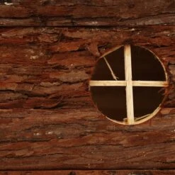 Trixie Kleintierhaus Jerrik -Haustierprodukte trixie kleintierhaus jerrik 40x20x23cm 3