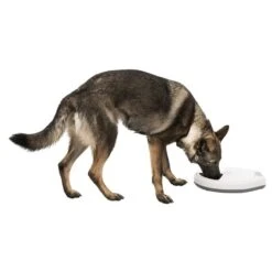 Trixie Futterautomat TX5 23 Trixie Futterautomat TX5 -Haustierprodukte trixie tx5 futterautomat hund frisst