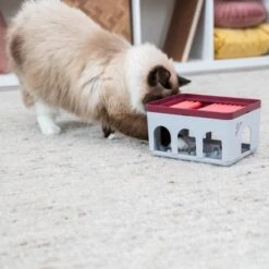 Trixie Cat Activity Rod Box 7 Trixie Cat Activity Rod Box -Haustierprodukte trixie cat activity rod box 3