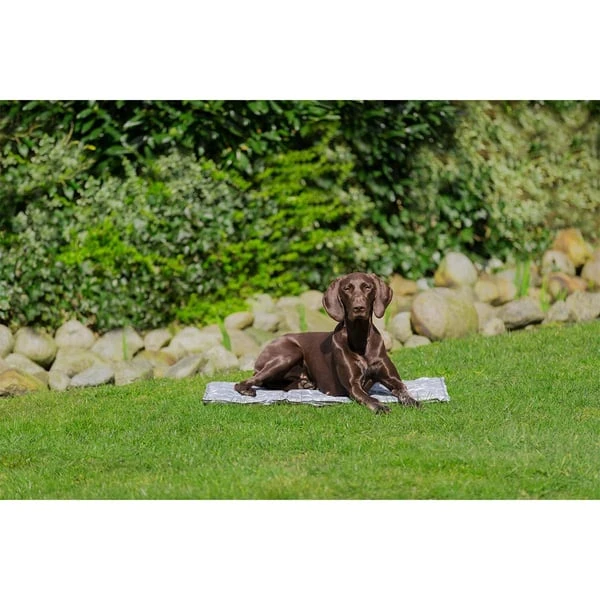 Trixie Kühlmatte Soft L 65x50cm 5 Trixie Kühlmatte Soft L 65x50cm – Bild 3