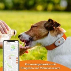 Weenect XS GPS Tracker Für Hunde Weiß -Haustierprodukte weenect xs gps tracker fur hunde weiss 7