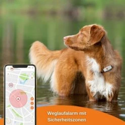 Weenect XS GPS Tracker Für Hunde Weiß -Haustierprodukte weenect xs gps tracker fur hunde weiss 9