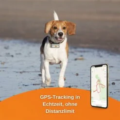 Weenect Dogs 2 - GPS Tracker Für Hunde -Haustierprodukte weenect dog2 3