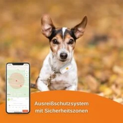 Weenect Dogs 2 - GPS Tracker Für Hunde -Haustierprodukte weenect dog2 5