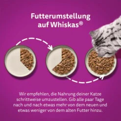 Whiskas Multipack 1+ Fisch Auswahl Gelee 80x85g 14 Whiskas Multipack 1+ Fisch Auswahl Gelee 80x85g -Haustierprodukte whiskas multipack 1plus fisch auswahl gelee 80x85g 5