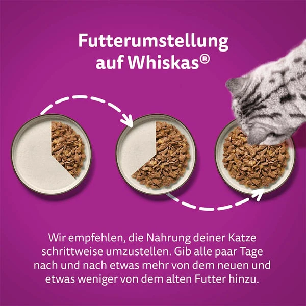 Whiskas Multipack 1+ Fisch Auswahl Gelee 80x85g 8 Whiskas Multipack 1+ Fisch Auswahl Gelee 80x85g – Bild 6