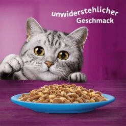 Whiskas Multipack 1+ Fisch Auswahl Gelee 80x85g 15 Whiskas Multipack 1+ Fisch Auswahl Gelee 80x85g -Haustierprodukte whiskas multipack 1plus fisch auswahl gelee 80x85g 6