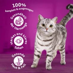 Whiskas Trocken Adult 1+ Mit Rind 3,8kg 11 Whiskas Trocken Adult 1+ Mit Rind 3,8kg -Haustierprodukte whiskas trocken adult 1plus mit rind 3 8kg 1