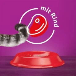 Whiskas Trocken Adult 1+ Mit Rind 3,8kg 14 Whiskas Trocken Adult 1+ Mit Rind 3,8kg -Haustierprodukte whiskas trocken adult 1plus mit rind 3 8kg 4