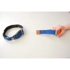 WowWow Professional Halsband Blau 26 WowWow Professional Halsband Blau -Haustierprodukte wowwow halsband blau 2