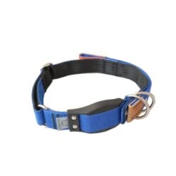 WowWow Professional Halsband Blau 17 WowWow Professional Halsband Blau -Haustierprodukte wowwow halsband blau