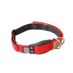 WowWow Professional Halsband Rot -Haustierprodukte wowwow halsband rot