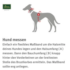 Hunter Norwegergeschirr Racing, Petrol/schwarz 5 Hunter Norwegergeschirr Racing, Petrol/schwarz -Haustierprodukte zooroyal einkaufshilfe hunter geschirr 600x6005b7d09abdf7be