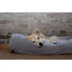 ZooRoyal Kuschelbett Rund Für Haustiere 95 Cm 11 ZooRoyal Kuschelbett Rund Für Haustiere 95 Cm -Haustierprodukte zooroyal hundebett rund grau 1
