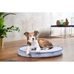 ZooRoyal Orthopädisches Hundekissen Elias Rund Grau 17 ZooRoyal Orthopädisches Hundekissen Elias Rund Grau -Haustierprodukte zooroyal hundekissen elias rund grau 4