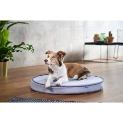 ZooRoyal Orthopädisches Hundekissen Elias Rund Grau 18 ZooRoyal Orthopädisches Hundekissen Elias Rund Grau -Haustierprodukte zooroyal hundekissen elias rund grau 5