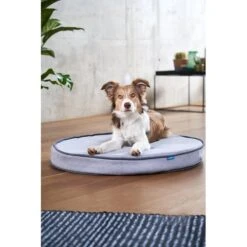 ZooRoyal Orthopädisches Hundekissen Elias Rund Grau 19 ZooRoyal Orthopädisches Hundekissen Elias Rund Grau -Haustierprodukte zooroyal hundekissen elias rund grau 6