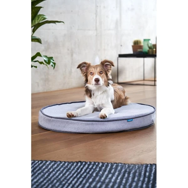 ZooRoyal Orthopädisches Hundekissen Elias Rund Grau 8 ZooRoyal Orthopädisches Hundekissen Elias Rund Grau – Bild 6