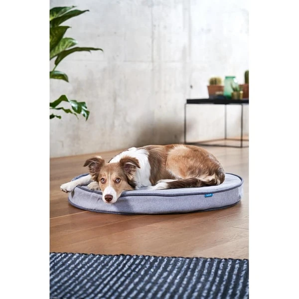ZooRoyal Orthopädisches Hundekissen Elias Rund Grau 9 ZooRoyal Orthopädisches Hundekissen Elias Rund Grau – Bild 7