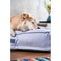 ZooRoyal Hundekissen Max Grau 21 ZooRoyal Hundekissen Max Grau -Haustierprodukte zooroyal hundekissen max grau 8